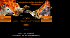 Desktop Screenshot of fireballwhippets.com