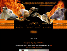 Tablet Screenshot of fireballwhippets.com